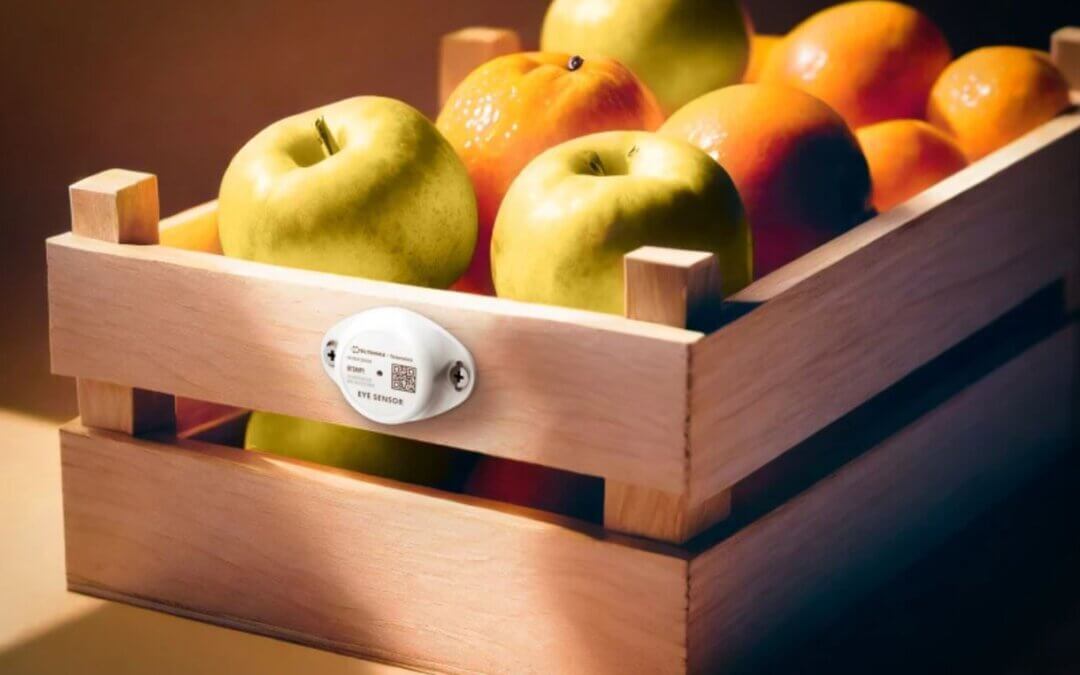 Czujniki Temperatury i Wilgotności: Klucz do Efektywnej Logistyki Żywności